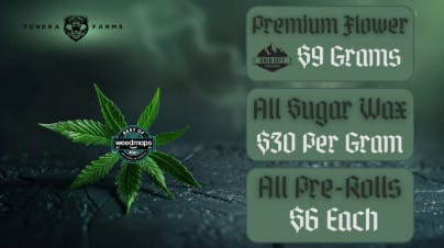 Cold City Cannabis - Anchorage listing banner