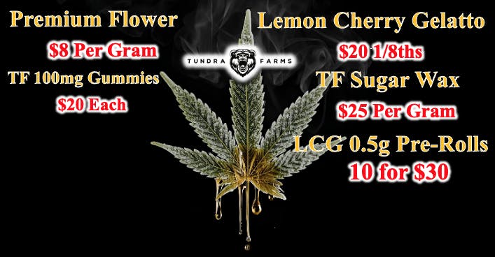 Cold City Cannabis - Anchorage listing banner