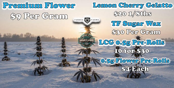 Cold City Cannabis - Anchorage listing banner