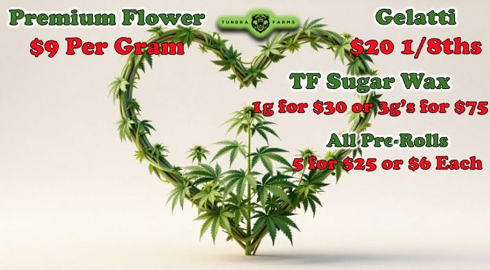 Cold City Cannabis - Anchorage listing banner