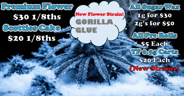 Cold City Cannabis - Anchorage listing banner