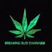 Breaking Bud Cannabis - Markham Rd