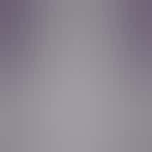 Skunked - Newly Opened!