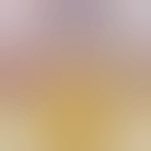 SoonerGlue OutLit