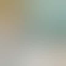 Root'd In The 510 Equity Weed Dispensary