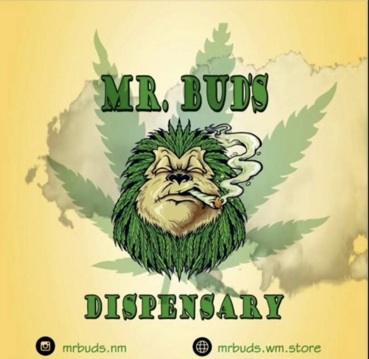 Mr Buds
