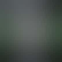 STIIIZY Western (Koreatown)