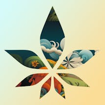 Oasis Cannabis Co - Juan Tabo