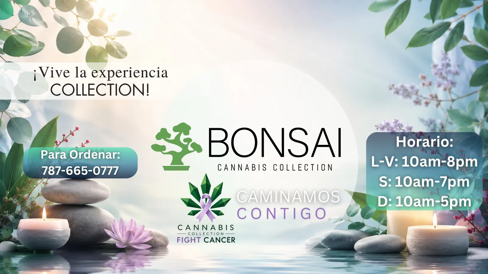 Bonsai Cannabis Collection listing banner