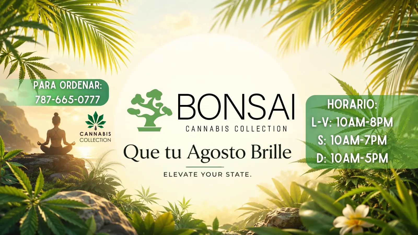 Bonsai Cannabis Collection listing banner