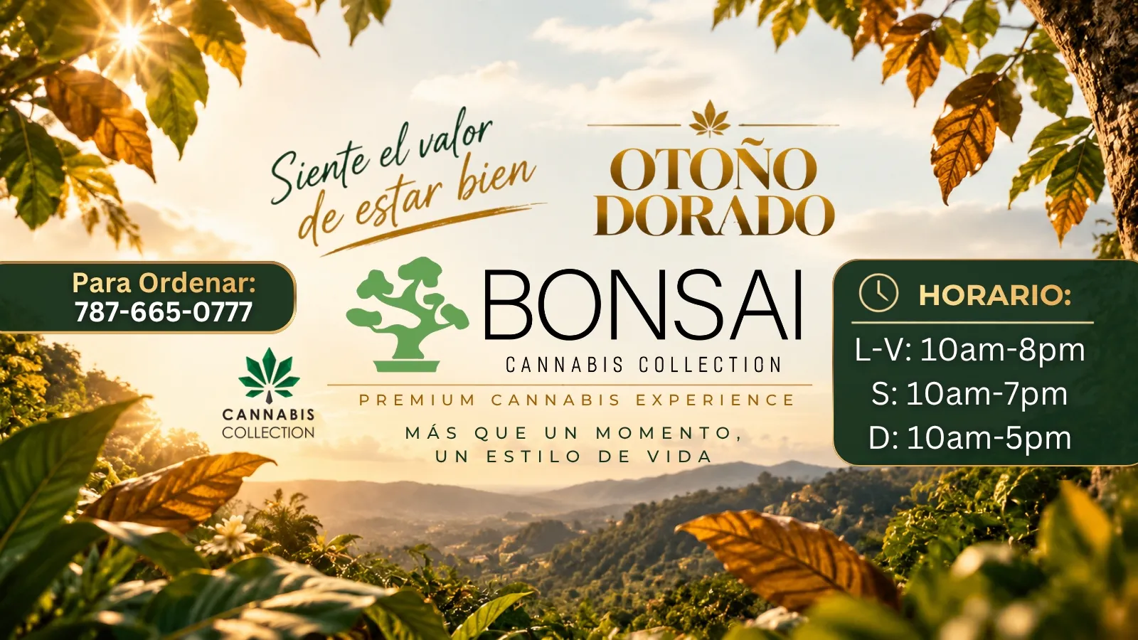 Bonsai Cannabis Collection listing banner