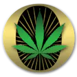 Oklahoma's Best Cannabis