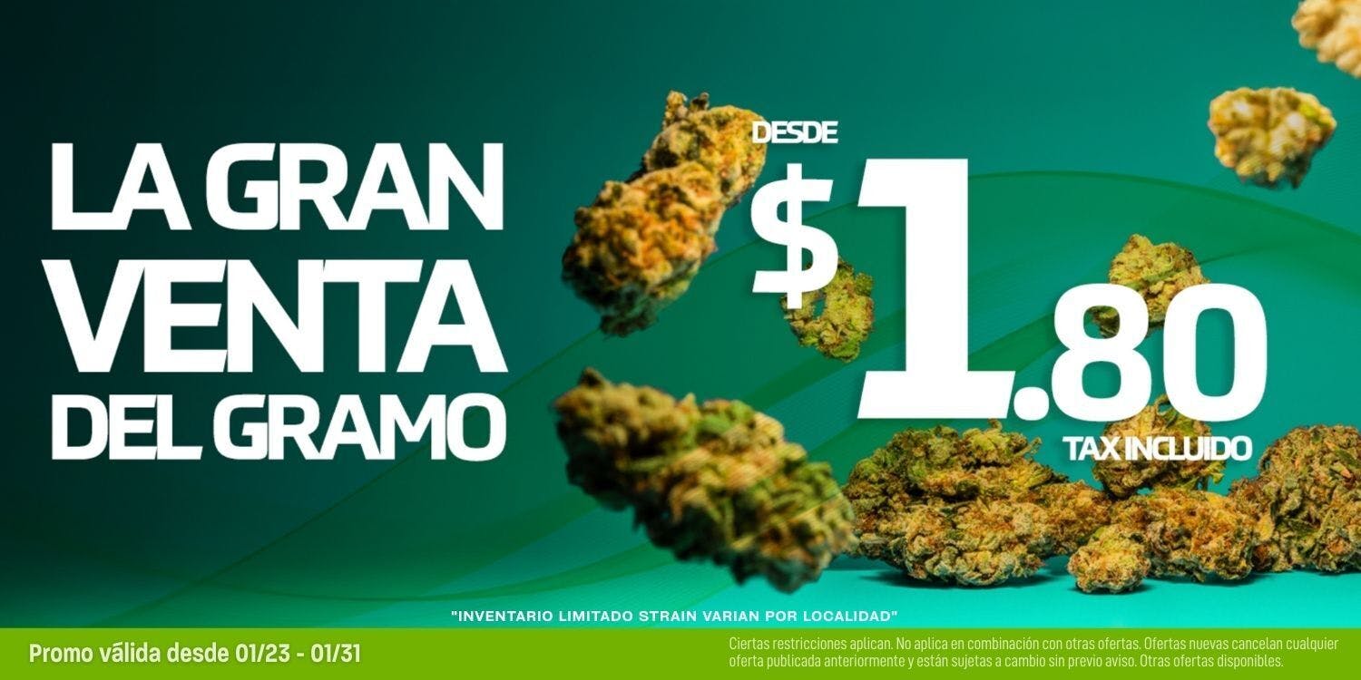 Encanto Tree (Botanik Cannaboutique) listing banner