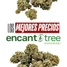 Encanto Tree - Manati