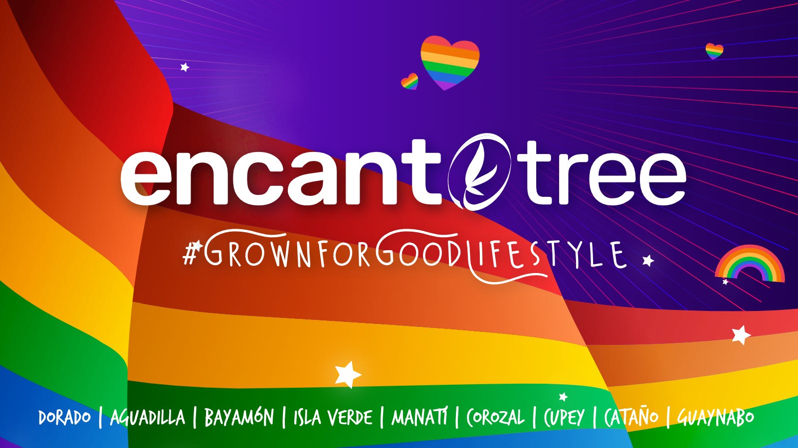 Encanto Tree - Manati listing banner