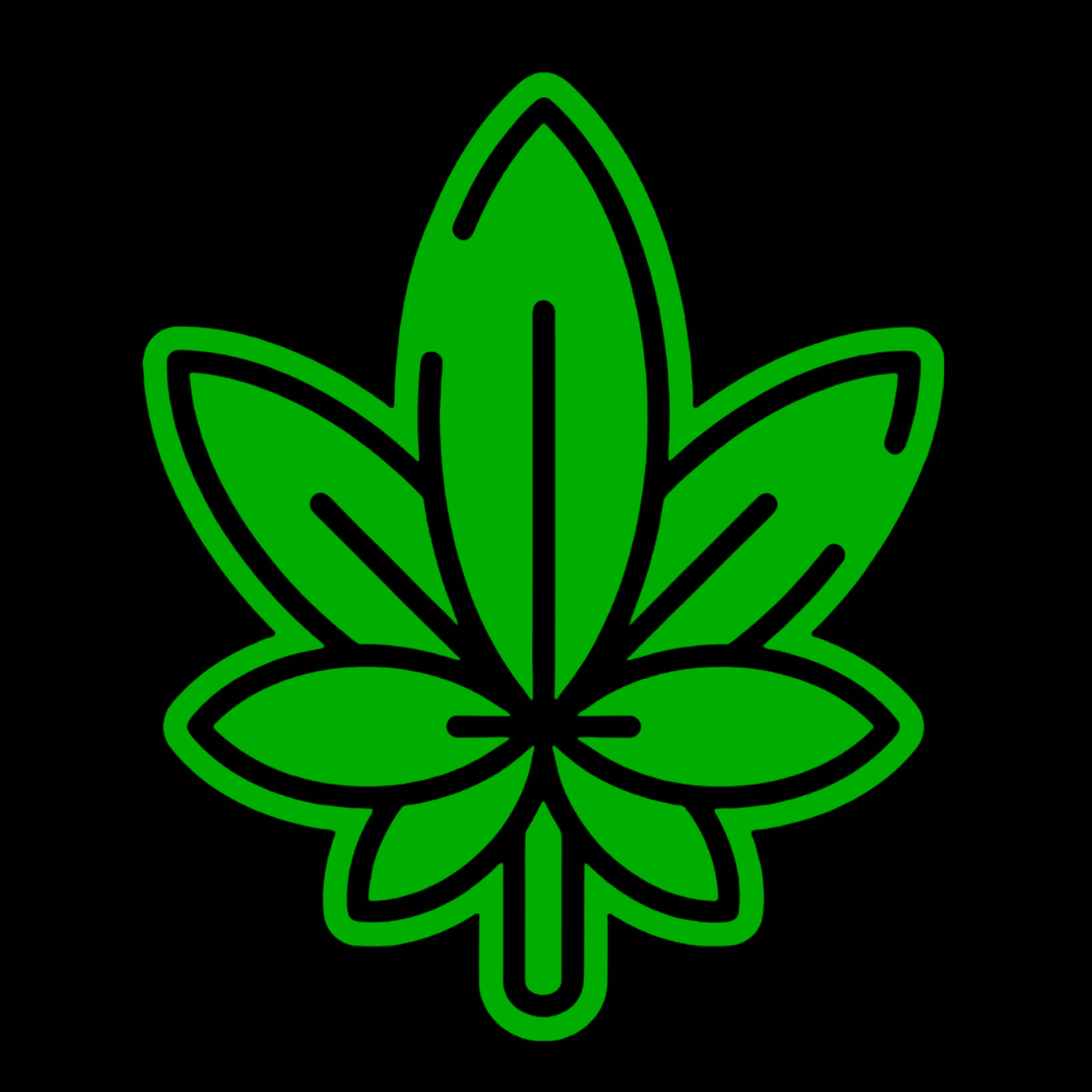 Hi Cannabis