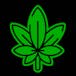 Hi Cannabis