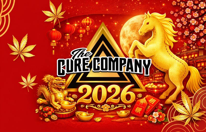 The Cure Company - Melrose listing banner