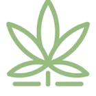 Northern Budzz