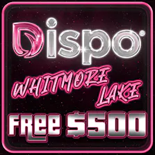 Dispo - Whitmore Lake
