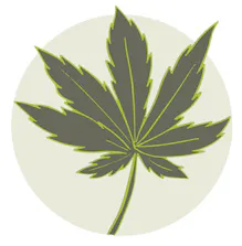 Ganja Garden
