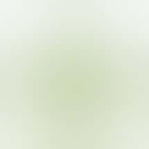 Livwell Meds Sulphur