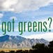 Got Greens
