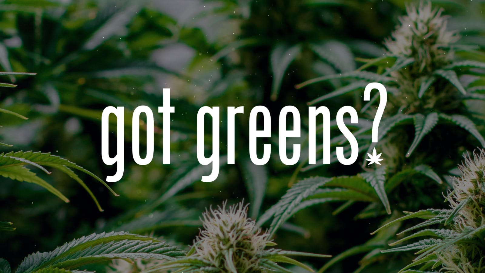 Got Greens listing banner