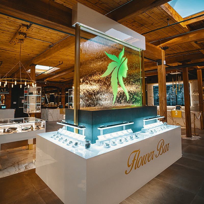 Mother Earth Wellness Info, Menu & Deals Weed dispensary Pawtucket