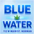 Blue Water - Norman