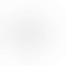 45 North Cannabis Company