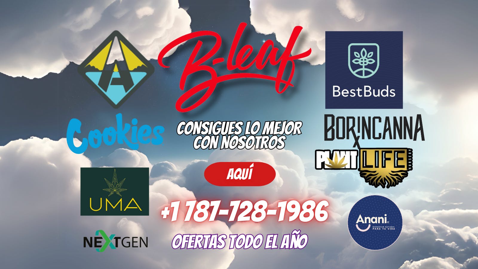 B-Leaf listing banner