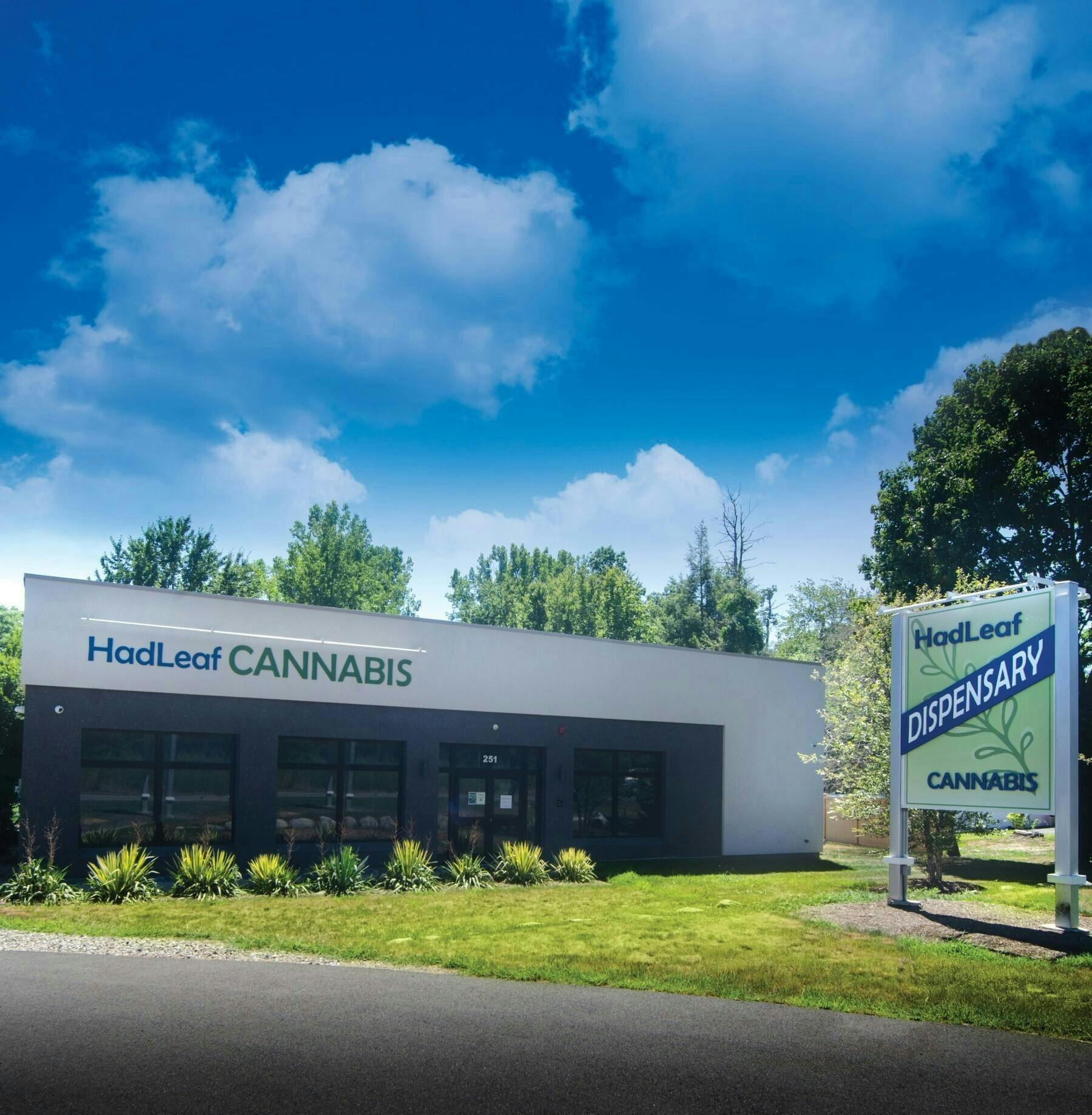 Hadleaf Dispensary listing banner