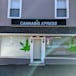 CANNABIS XPRESS