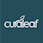Curaleaf - Auburn