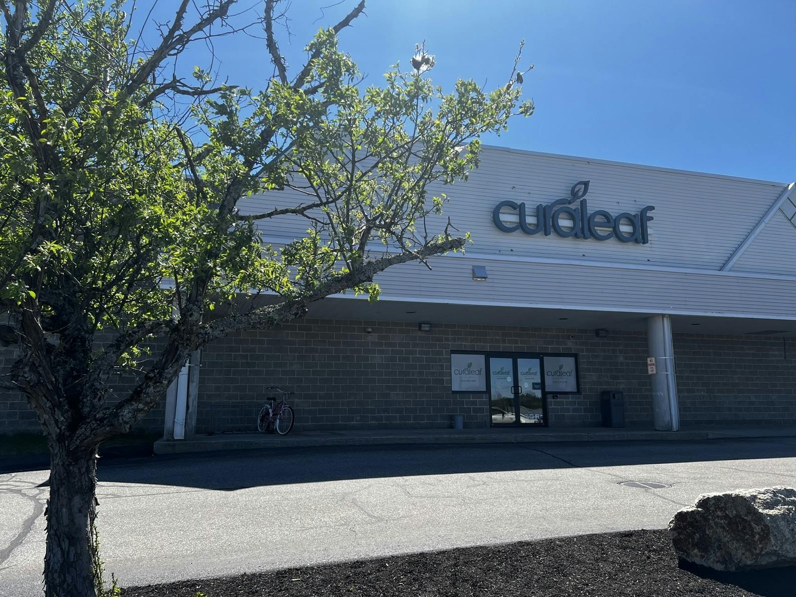 Curaleaf - Auburn listing banner