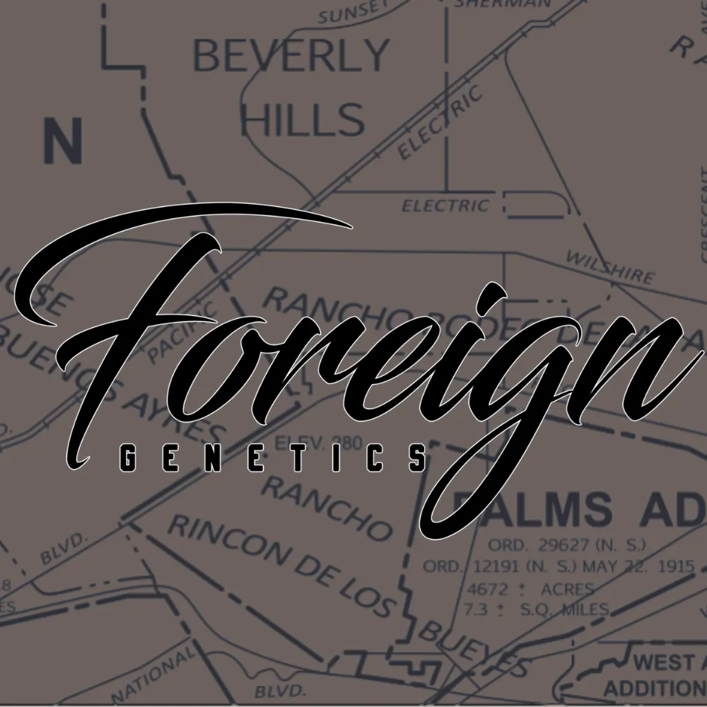 Foreign LA