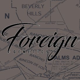 Foreign LA