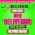 Wellgreens - Chula Vista - Marijuana Weed Dispensary