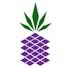 Purple Pineapple Cannabis Co.