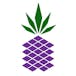 Purple Pineapple Cannabis Co.
