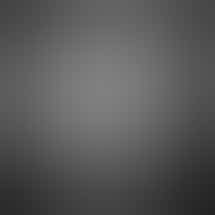 Jungle Boys - Daytona Beach