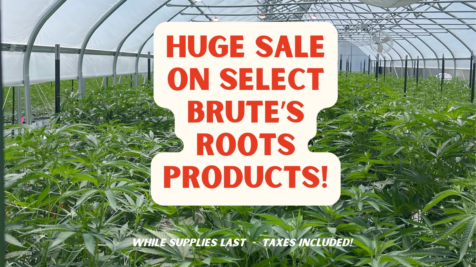 Brute's Roots listing banner