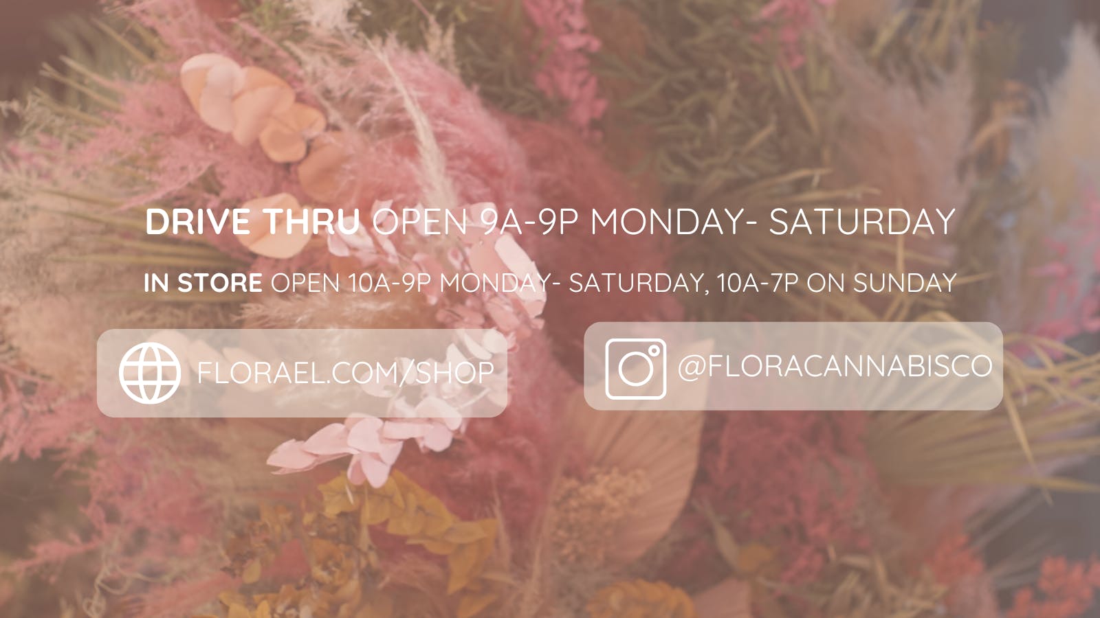 Flora East Lansing listing banner