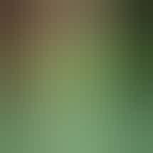 HOUSE OF DANK SAGINAW REC