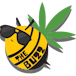 THE BUZZ