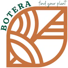 Botera - Brockton