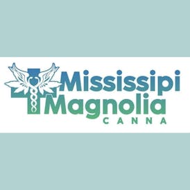 Mississippi Magnolia Canna - Columbus