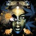Proud Mary Cannabis
