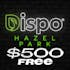 Dispo Hazel Park